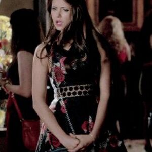 Free people elena gilbert katherine pierce 6